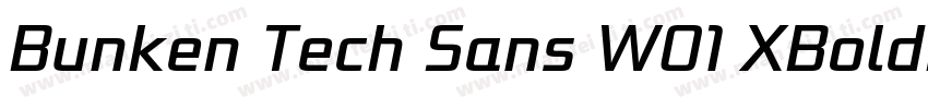 Bunken Tech Sans W01 XBoldIt Regular字体转换